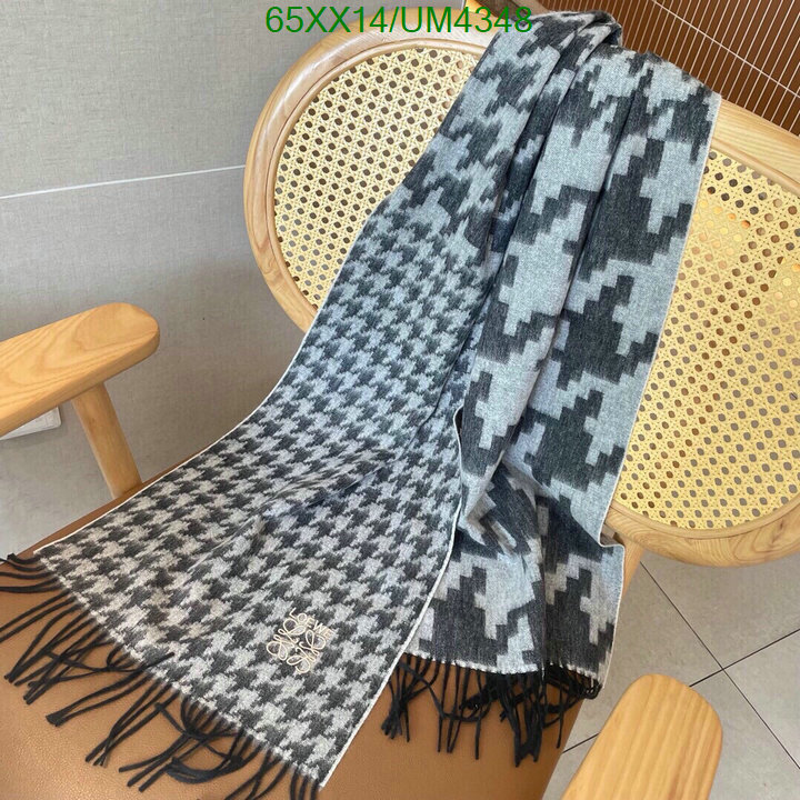 Loewe-Scarf Code: UM4348 $: 65USD