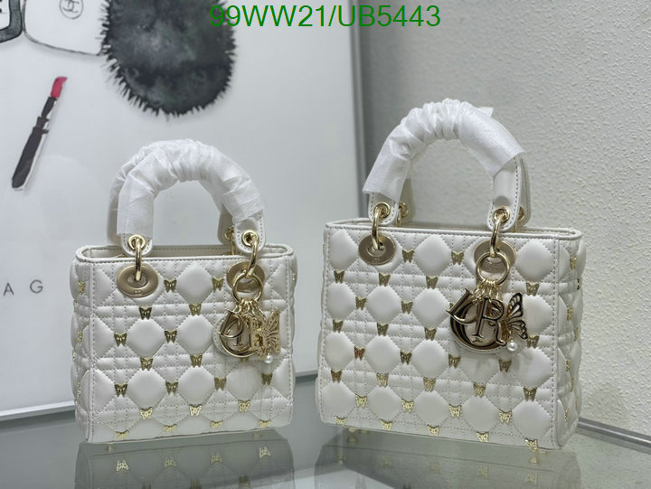 Dior-Bag-4A Quality Code: UB5443