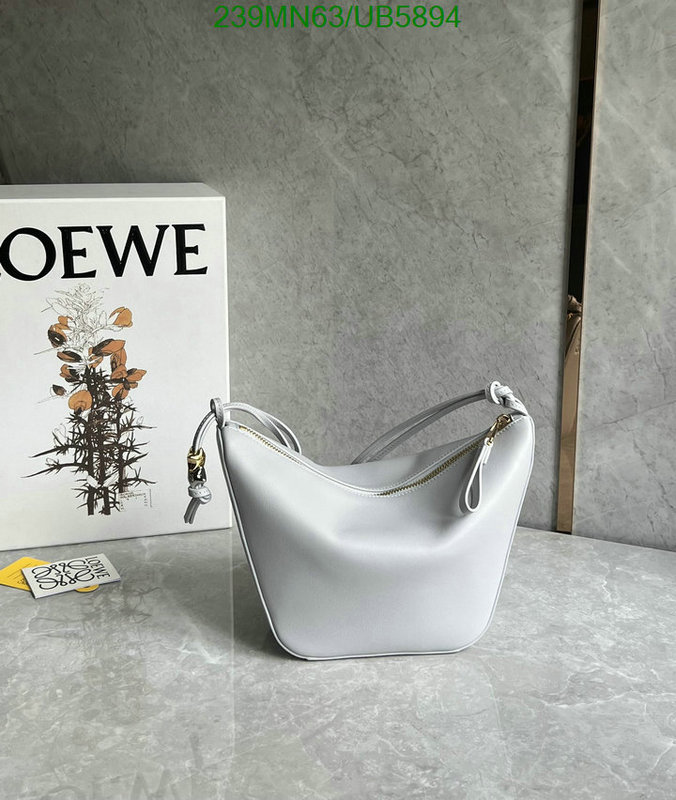 Loewe-Bag-Mirror Quality Code: UB5894 $: 239USD