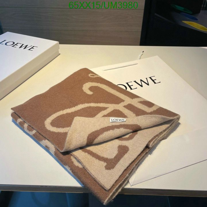 Loewe-Scarf Code: UM3980 $: 65USD