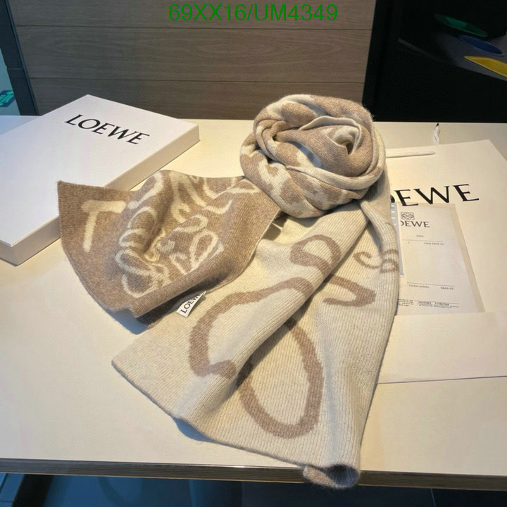 Loewe-Scarf Code: UM4349 $: 69USD