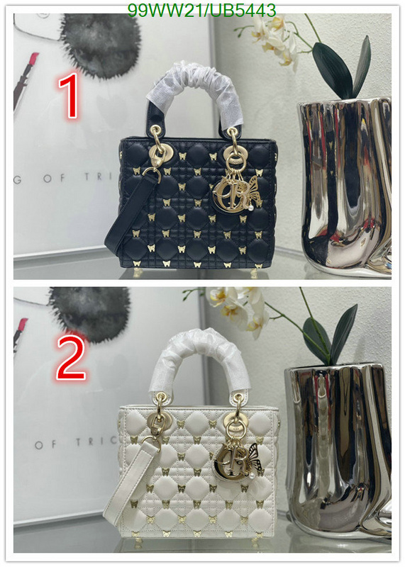 Dior-Bag-4A Quality Code: UB5443