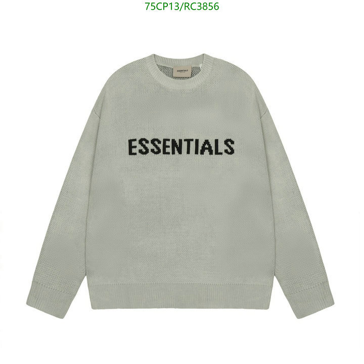 Essentials-Clothing Code: RC3856 $: 75USD