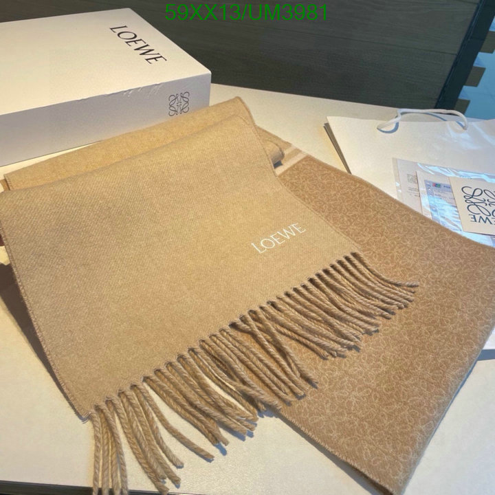 Loewe-Scarf Code: UM3981 $: 59USD