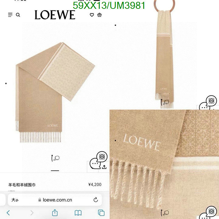 Loewe-Scarf Code: UM3981 $: 59USD