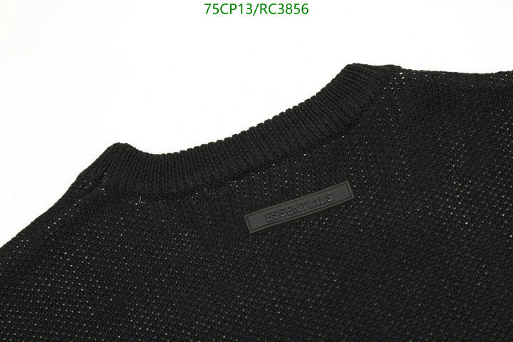 Essentials-Clothing Code: RC3856 $: 75USD