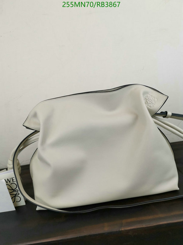 Loewe-Bag-Mirror Quality Code: RB3867 $: 255USD