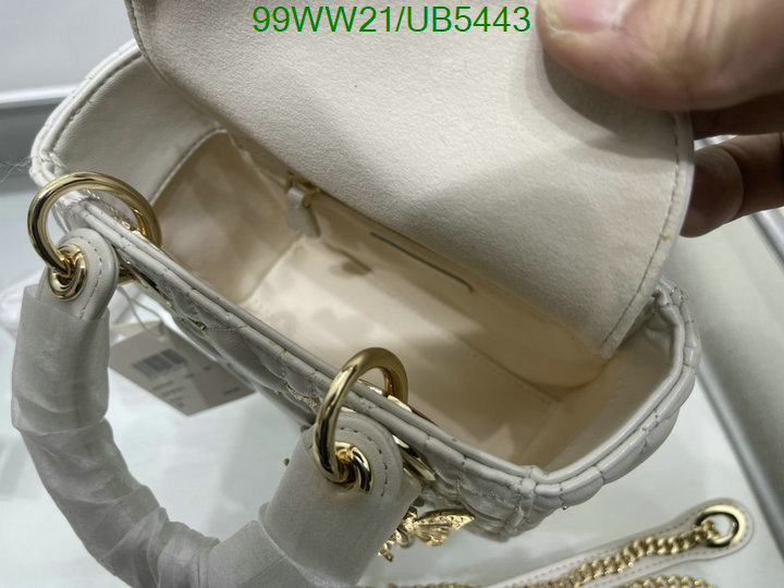 Dior-Bag-4A Quality Code: UB5443