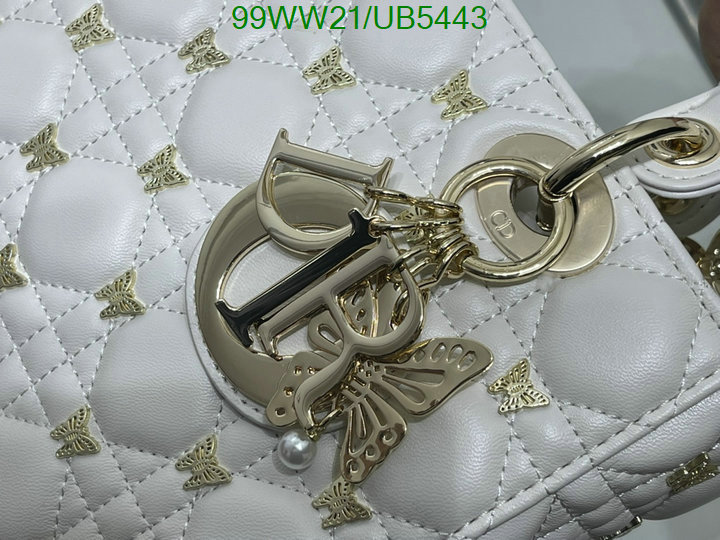 Dior-Bag-4A Quality Code: UB5443