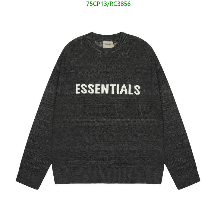 Essentials-Clothing Code: RC3856 $: 75USD