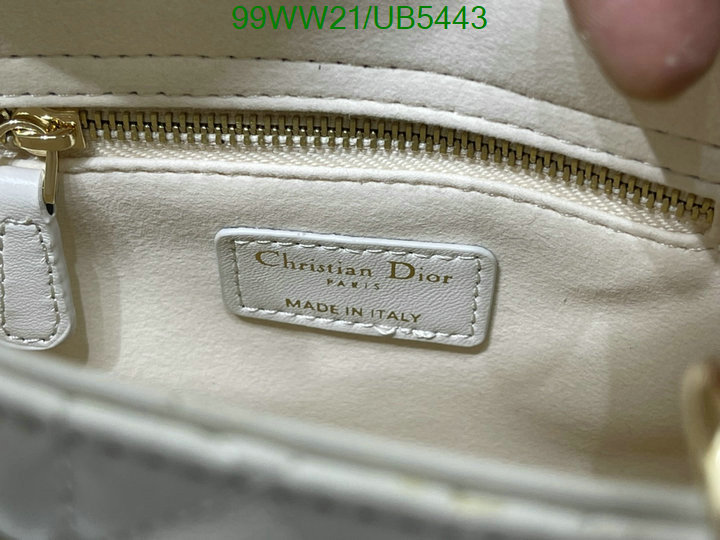 Dior-Bag-4A Quality Code: UB5443