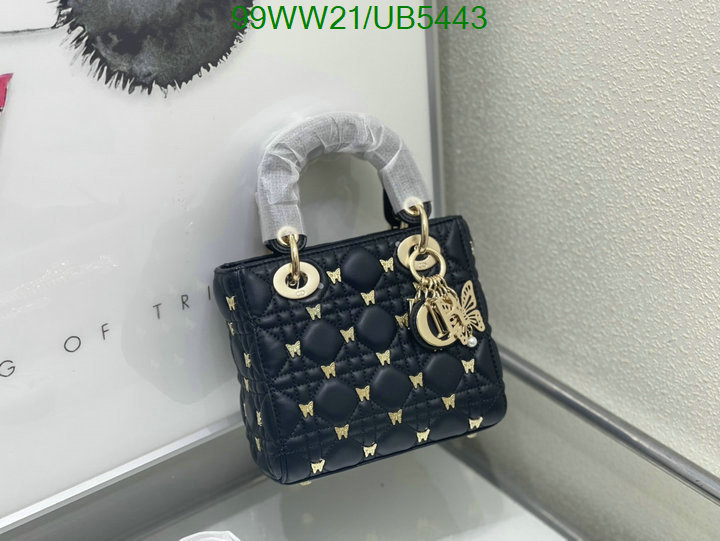 Dior-Bag-4A Quality Code: UB5443