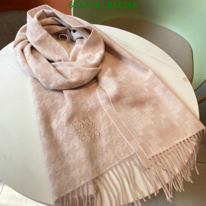 Loewe-Scarf Code: UM4348 $: 65USD