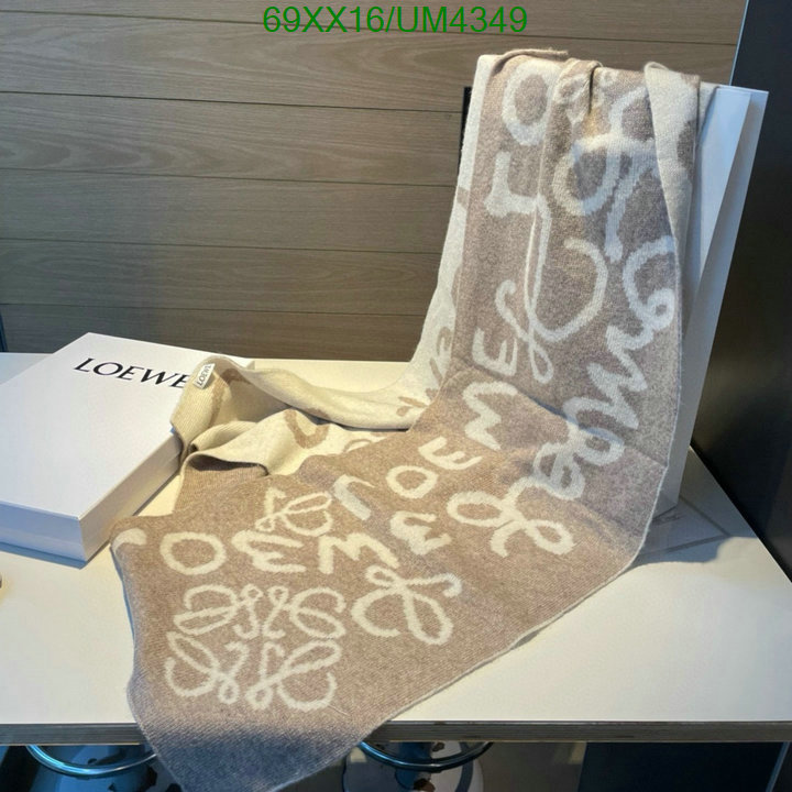 Loewe-Scarf Code: UM4349 $: 69USD