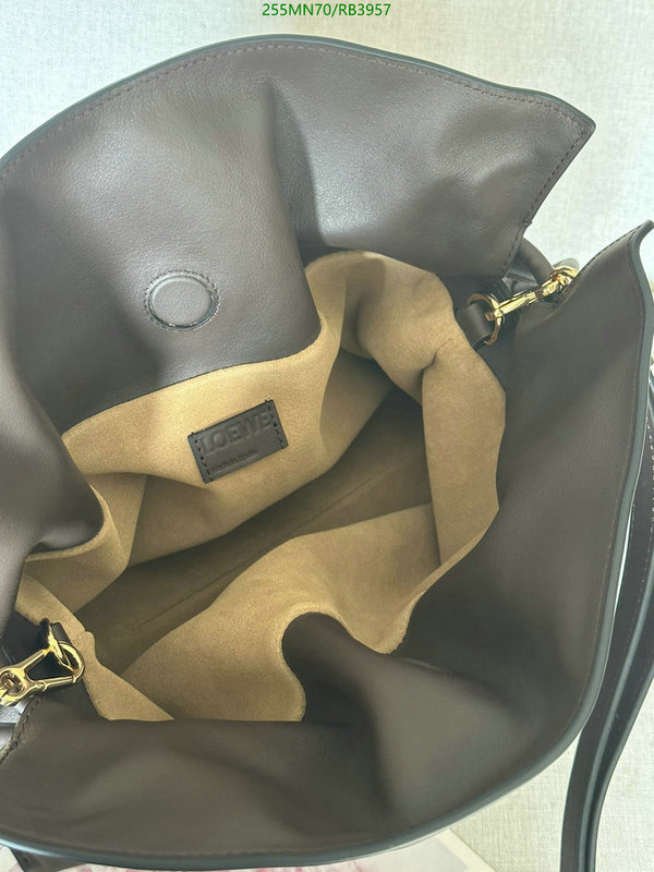 Loewe-Bag-Mirror Quality Code: RB3957 $: 255USD