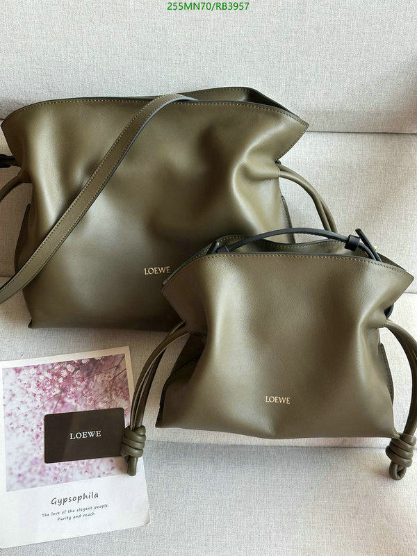 Loewe-Bag-Mirror Quality Code: RB3957 $: 255USD