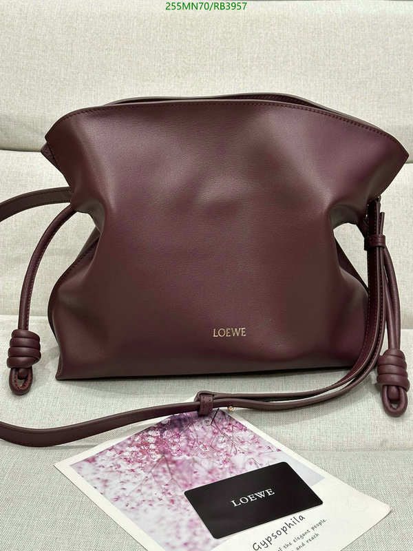 Loewe-Bag-Mirror Quality Code: RB3957 $: 255USD