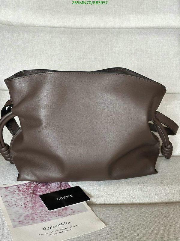 Loewe-Bag-Mirror Quality Code: RB3957 $: 255USD