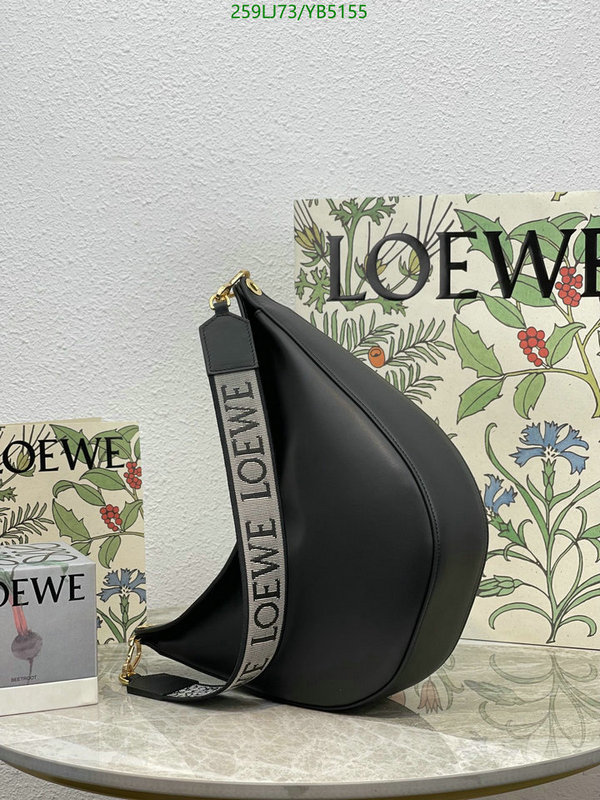 Loewe-Bag-Mirror Quality Code: YB5155 $: 259USD