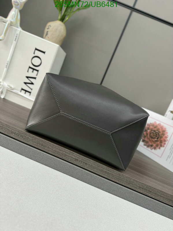 Loewe-Bag-Mirror Quality Code: UB6481 $: 265USD