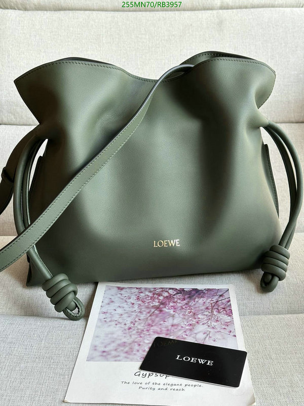 Loewe-Bag-Mirror Quality Code: RB3957 $: 255USD