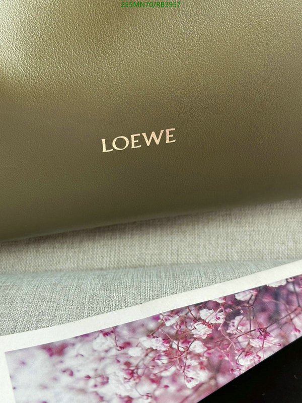 Loewe-Bag-Mirror Quality Code: RB3957 $: 255USD