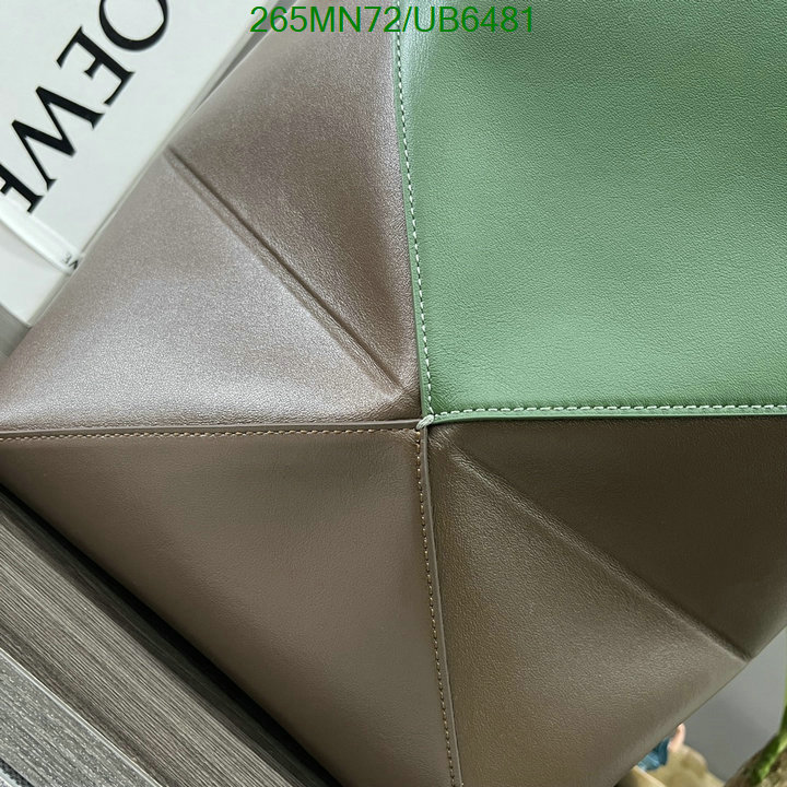 Loewe-Bag-Mirror Quality Code: UB6481 $: 265USD