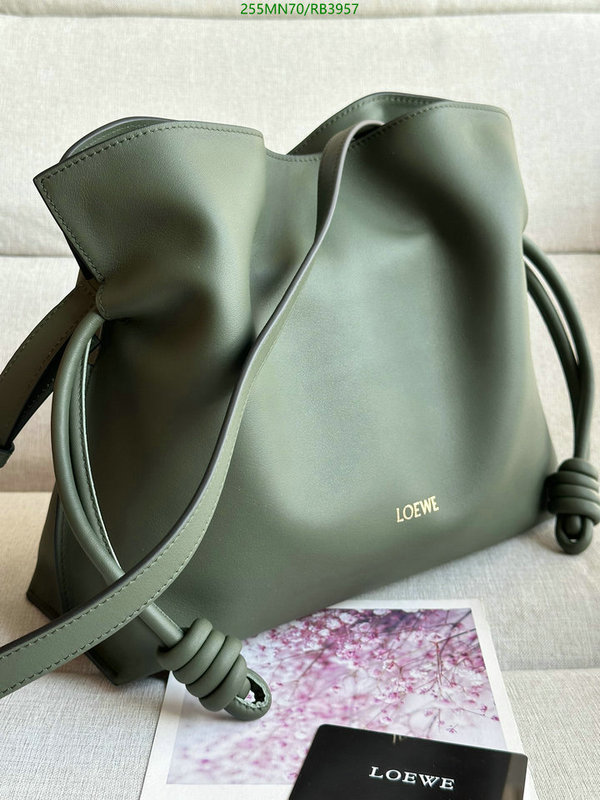 Loewe-Bag-Mirror Quality Code: RB3957 $: 255USD