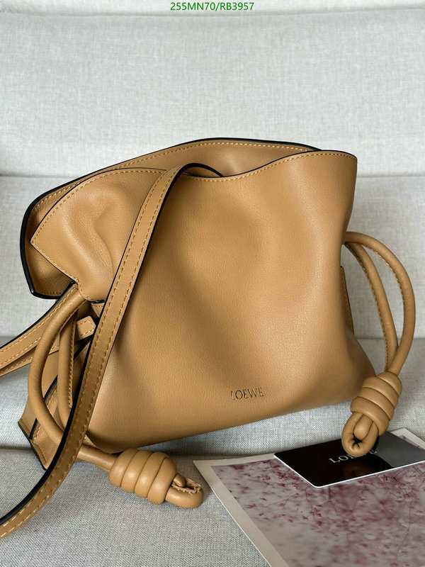 Loewe-Bag-Mirror Quality Code: RB3957 $: 255USD