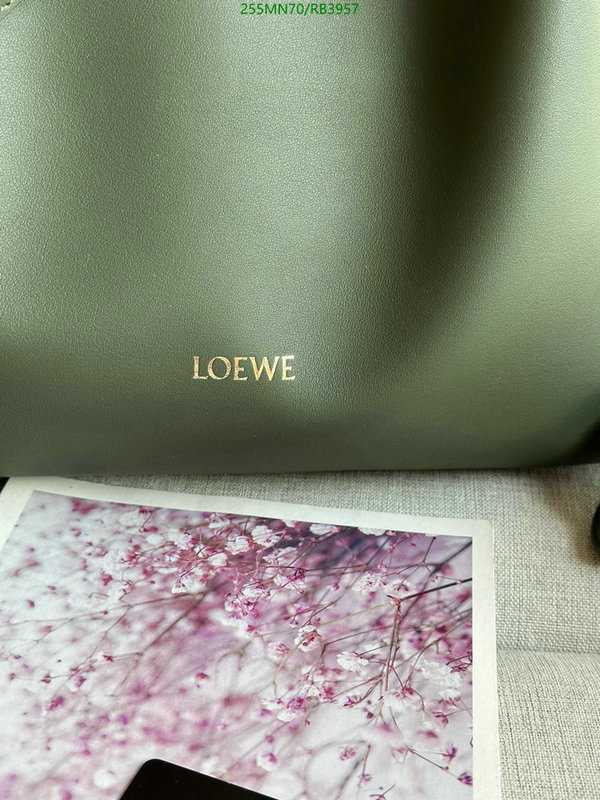 Loewe-Bag-Mirror Quality Code: RB3957 $: 255USD