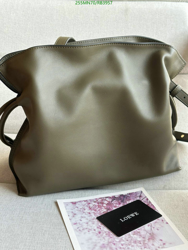 Loewe-Bag-Mirror Quality Code: RB3957 $: 255USD