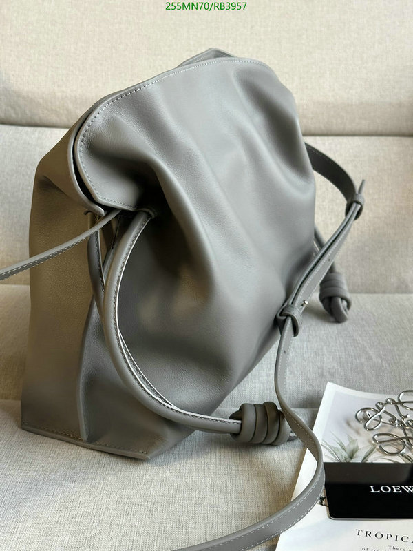 Loewe-Bag-Mirror Quality Code: RB3957 $: 255USD