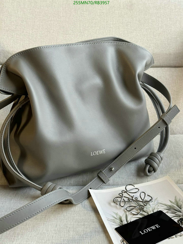 Loewe-Bag-Mirror Quality Code: RB3957 $: 255USD