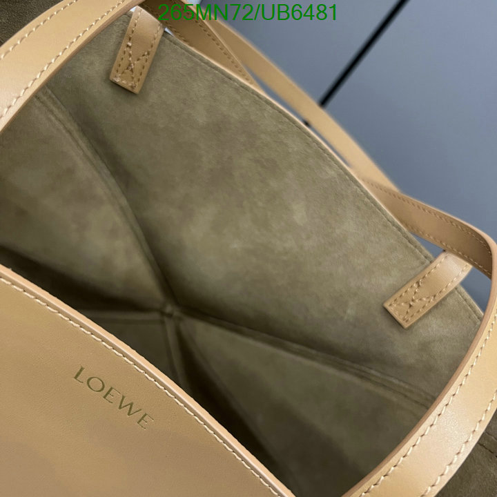 Loewe-Bag-Mirror Quality Code: UB6481 $: 265USD