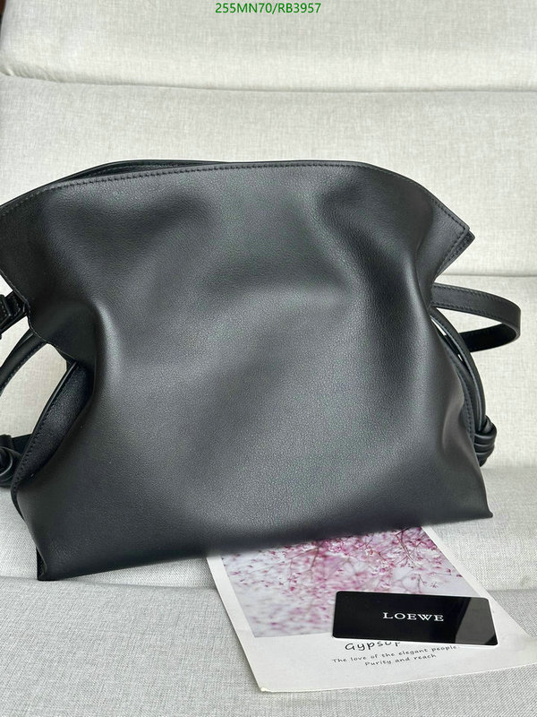 Loewe-Bag-Mirror Quality Code: RB3957 $: 255USD