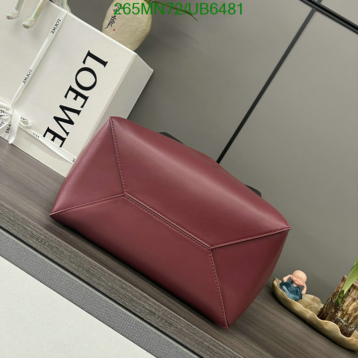 Loewe-Bag-Mirror Quality Code: UB6481 $: 265USD