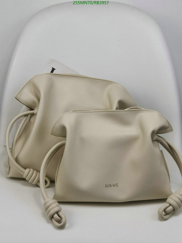 Loewe-Bag-Mirror Quality Code: RB3957 $: 255USD