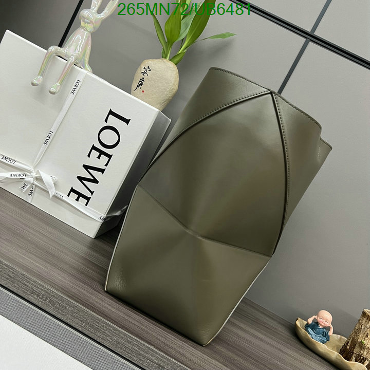 Loewe-Bag-Mirror Quality Code: UB6481 $: 265USD