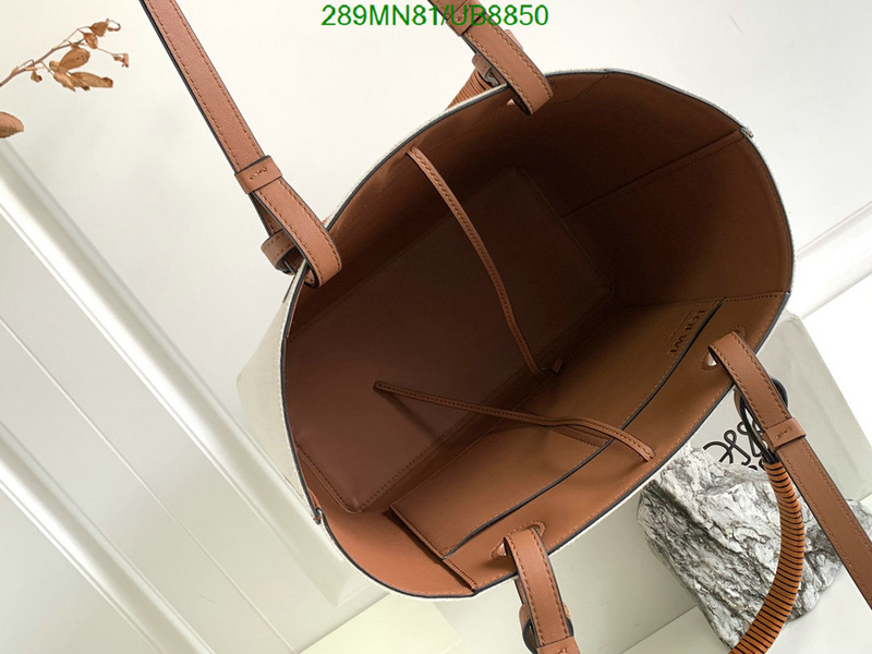 Loewe-Bag-Mirror Quality Code: UB8850 $: 289USD
