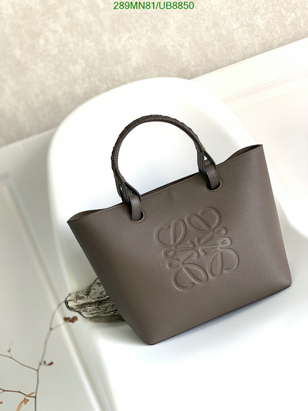 Loewe-Bag-Mirror Quality Code: UB8850 $: 289USD