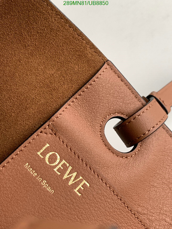 Loewe-Bag-Mirror Quality Code: UB8850 $: 289USD