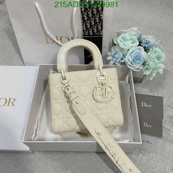 Dior-Bag-Mirror Quality Code: UB9981 $: 215USD