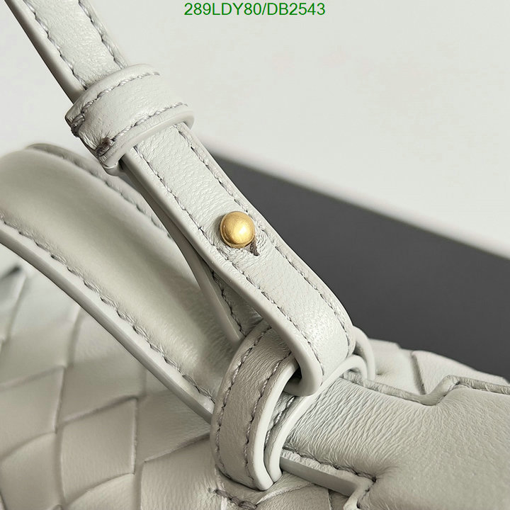 BV-Bag-Mirror Quality Code: DB2543 $: 289USD