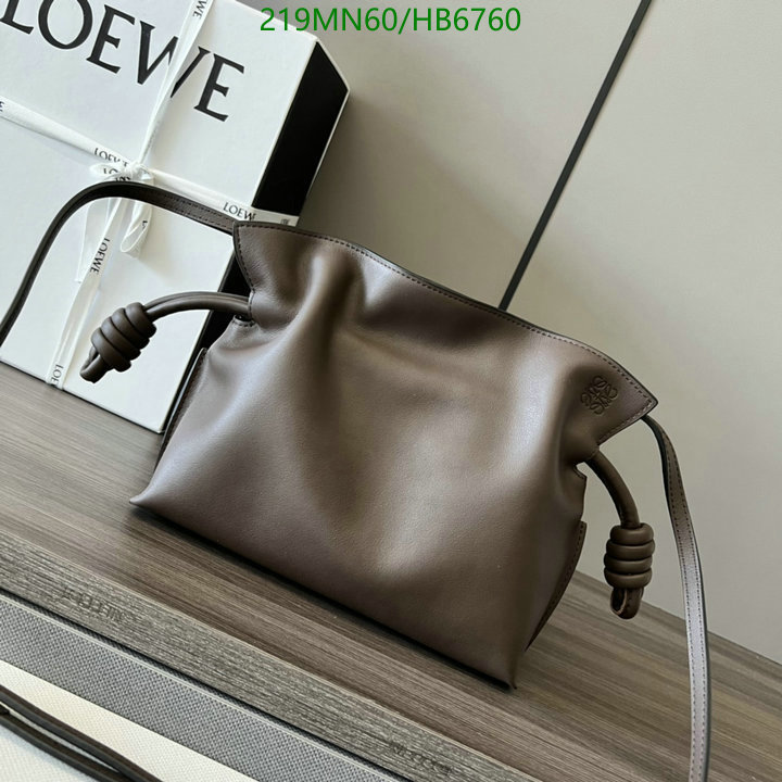 Loewe-Bag-Mirror Quality Code: HB6760 $: 219USD