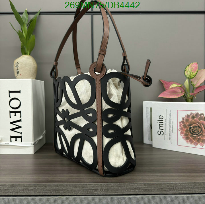 Loewe-Bag-Mirror Quality Code: DB4442 $: 269USD