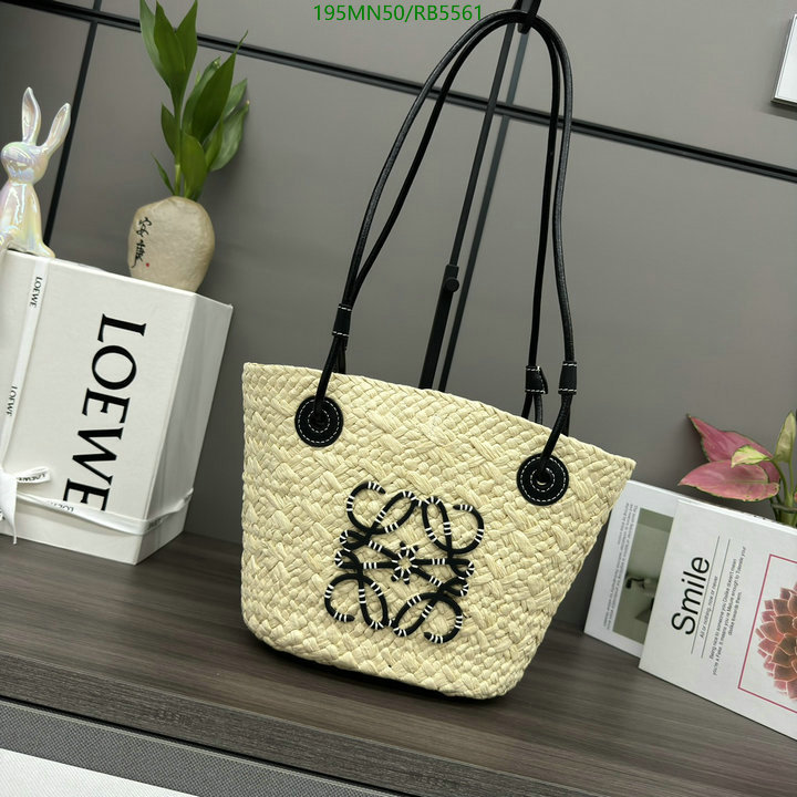 Loewe-Bag-Mirror Quality Code: RB5561 $: 195USD