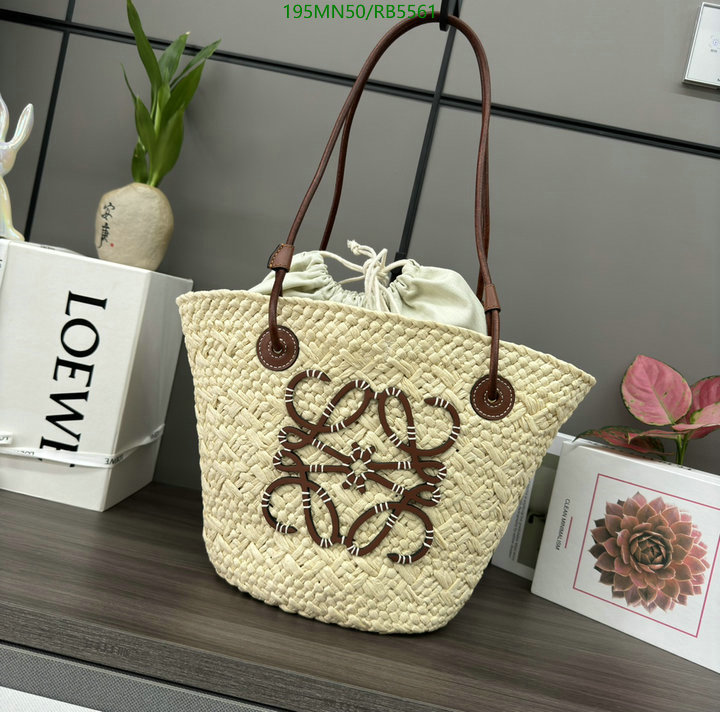 Loewe-Bag-Mirror Quality Code: RB5561 $: 195USD