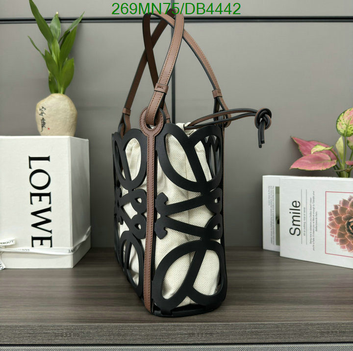Loewe-Bag-Mirror Quality Code: DB4442 $: 269USD