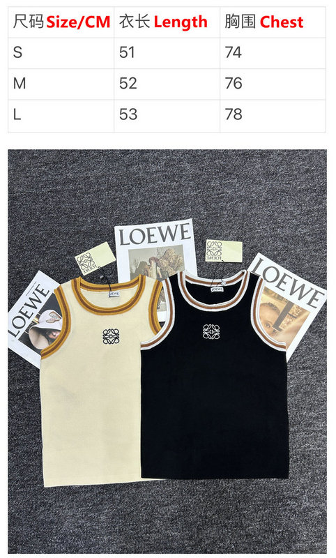 Loewe-Clothing Code: DC5482 $: 85USD