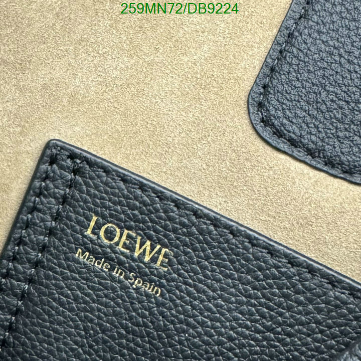 Loewe-Bag-Mirror Quality Code: DB9224 $: 259USD